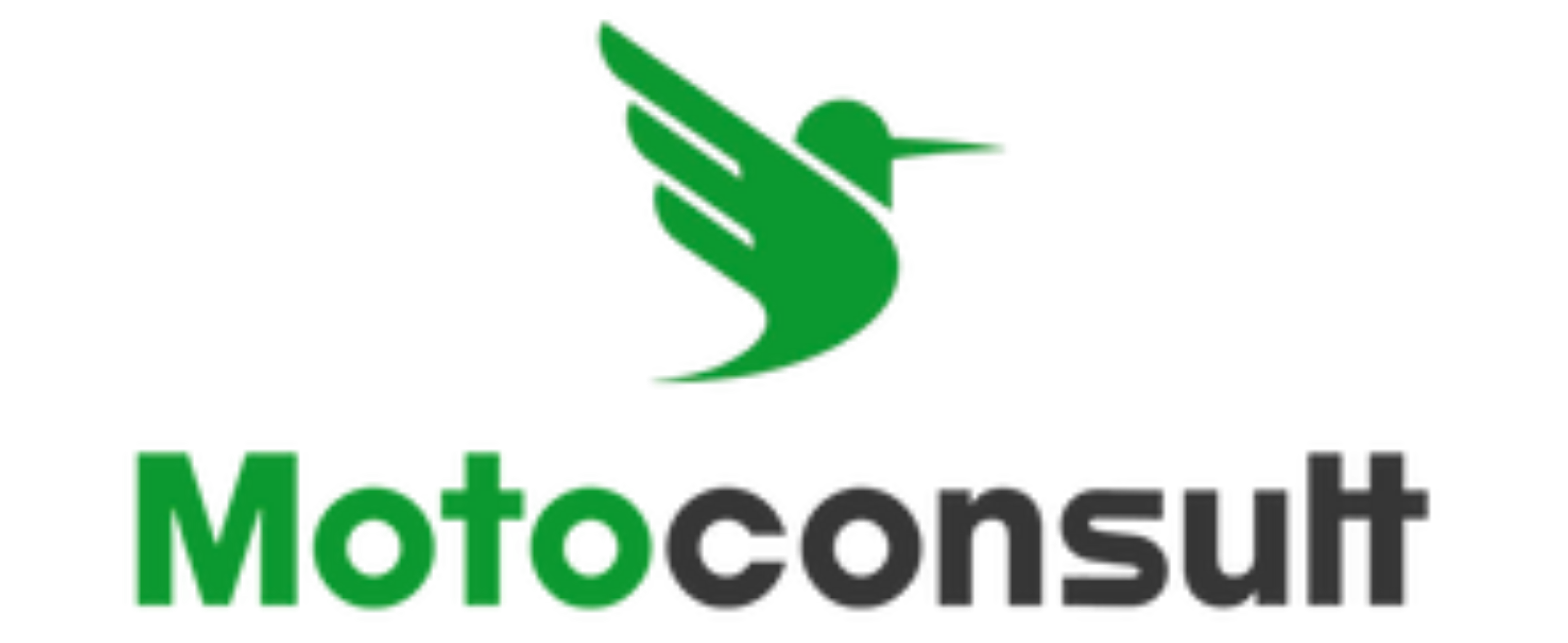 Motoconsult